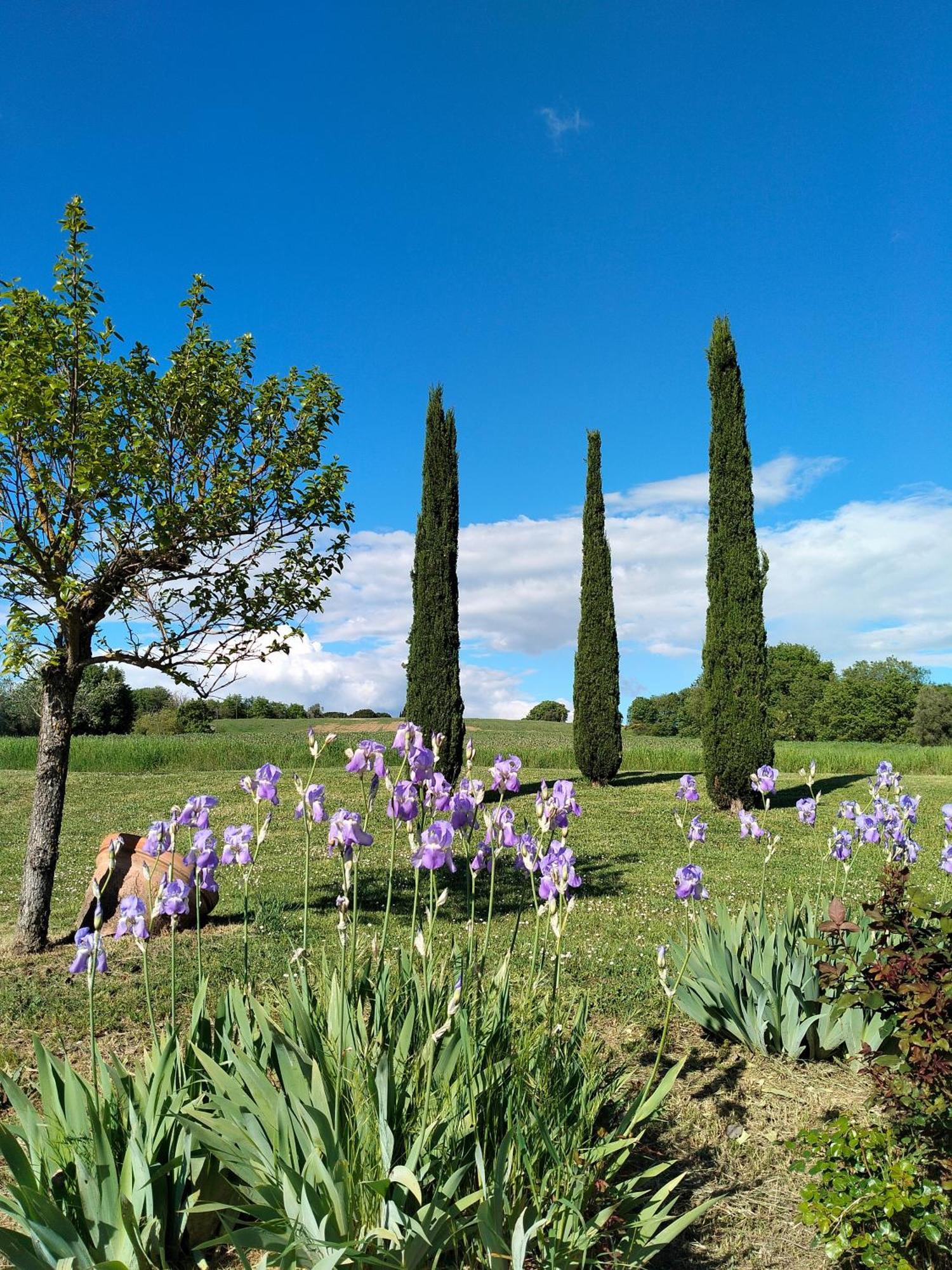 Villa Nobile Cortona Family Apartments Exterior foto